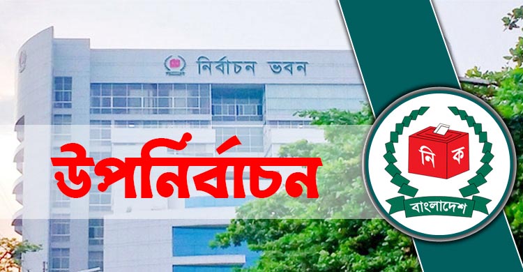 উপনির্বাচন