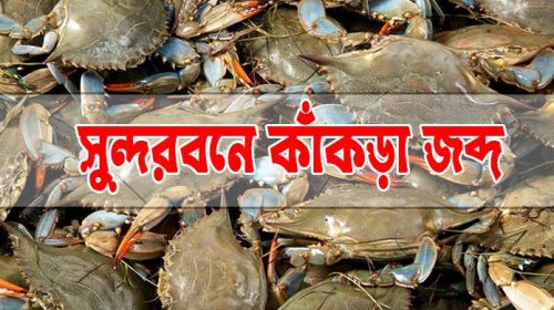 কাঁকড়া জব্দ