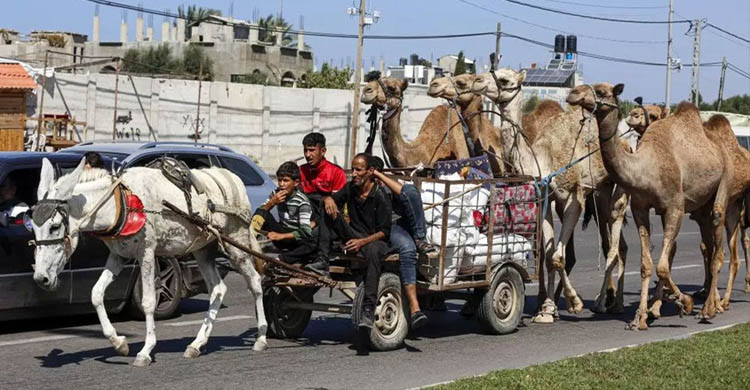 উত্তর গাজা