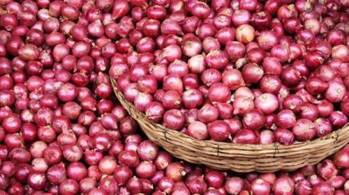 পেঁয়াজ রপ্তানি নিষিদ্ধ করেছে